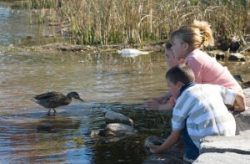 preschoolers playing