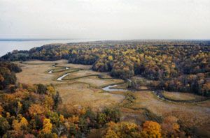 Events at York River State Park