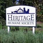 Heritage Humane Society - Two of Many Who Need a Good Home