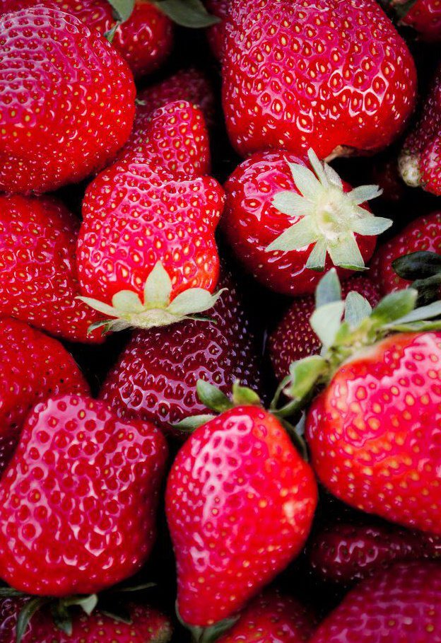 strawberries college run