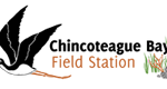 Chincoteague Bay Field Station Summer Camps