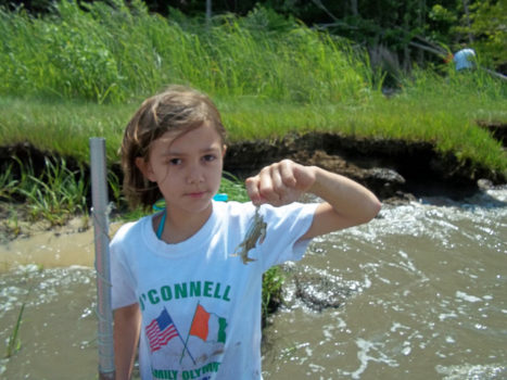 estuaries day york river