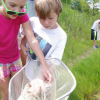 estuaries day york river state park