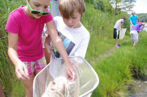 estuaries day york river state park