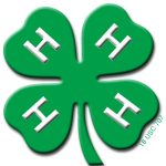 4-h-clover