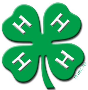 4-h-clover