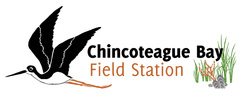 Chincoteague Bay Summer Camps