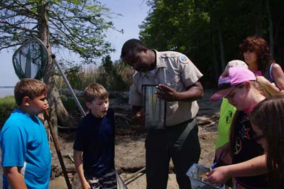 River Seining