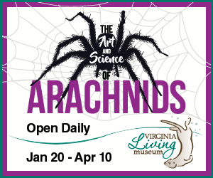 Arachnids VLM