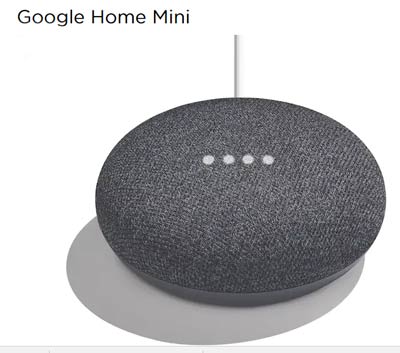 fun questions for google-home-mini