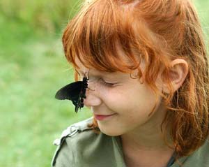 Family Butterfly Count