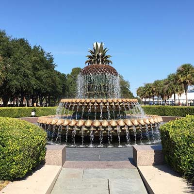 pineapple fountain charleston