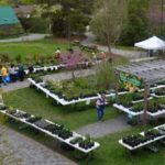 Fall Plant Sale VLM