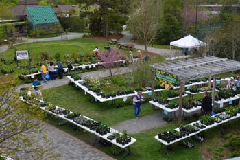 Fall Plant Sale VLM
