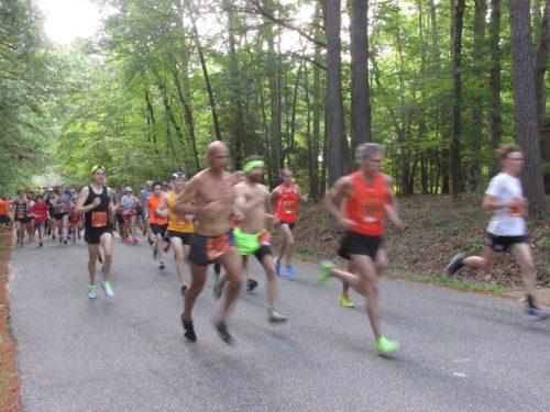 virginia regional ballet fun run