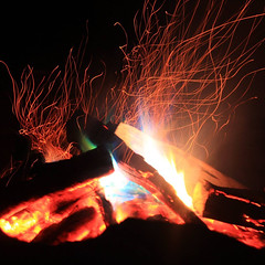 To Build a Fire