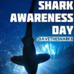 VLM Shark Awareness Day on July 13