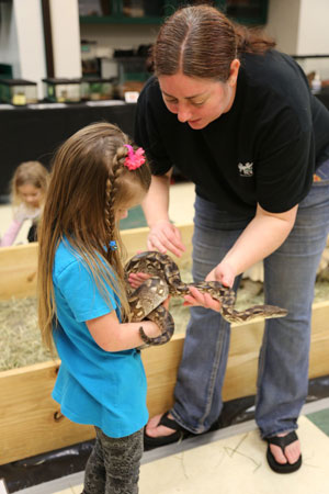 VLM Reptiles & Amphibians