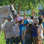 Dream Catchers’ Summer Horsemanship Camps