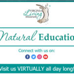 The Virginia Living Museum offers a full daily calendar of entertainment virtually during COVID19