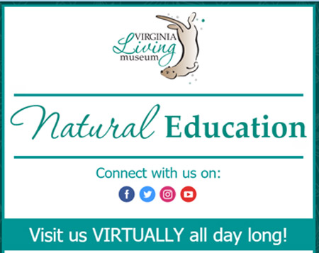 virtual learning from virginia living museum during covid19