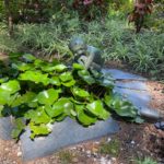 Adams Garden