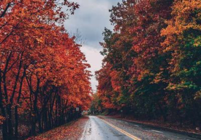 fall-foliage-virginia