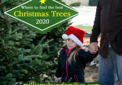 Christmas-Trees-williamsburg