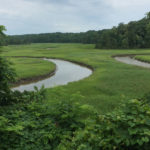 York River State Park - May Events!