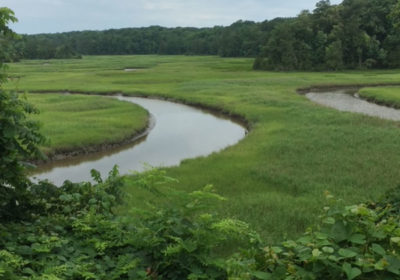 York River State Park