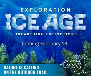 Coming in February 13 ice age vlm