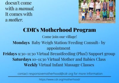 Virtual-Motherhood-cdr