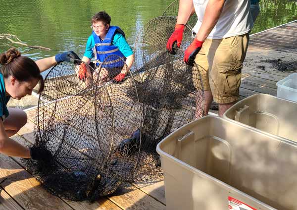 The Turtle Census at the Virginia Living Museum is a great hands on  experience