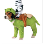 Best Halloween Costumes for Kids, Adults & Pets