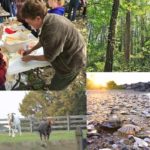 Chippokes State Park Events for September & October 2023