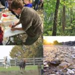 Chippokes State Park Events April & May 2024