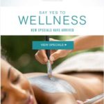 the spa in colonial williamsburg specials