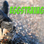 Egg-stravaganza at Virginia Living Museum