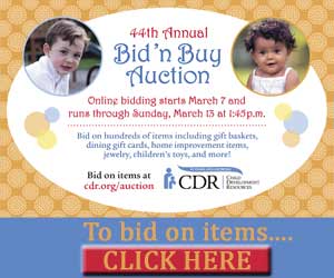 bid-n-buy-auction