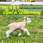 Best things to do in Williamsburg in April 2023