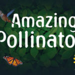 Amazing Pollinators NEW Exhibit at the VLM is now open!