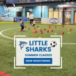 little sharks williamsburg soccer for children