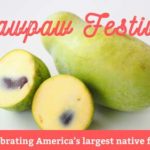 Pawpaw Festival at Endview Plantation - Saturday August 27, 2022
