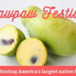 pawpaw-festival