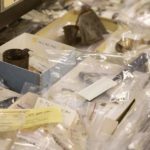 Archaeology Behind the Scenes Tours at Colonial Williamsburg Archaeology Lab this Fall