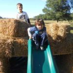 Chippokes Plantation State Park Harvest Festival - Oct. 21, 2023