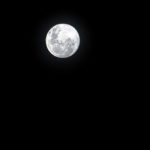 Full Moon Hikes in Freedom Park