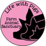 Life With Pigs Farm Animal Sanctuary Volunteers
