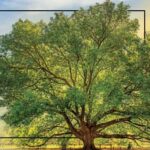 juneteenth sunrise service