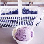 College Run Farms has Blueberry Picking